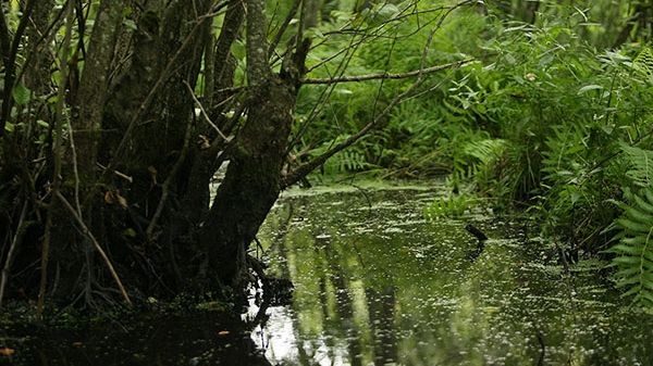 Tăul fără fund - locul misterios care "răpeşte" suflete şi tămăduieşte boli