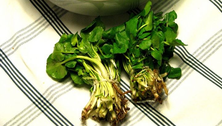 Adevărul despre untișor. Îl mâncăm fără să știm cât de toxic e de fapt pentru organism