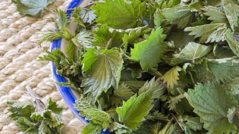 Cum să cureți urzicile. Metoda cea mai simplă