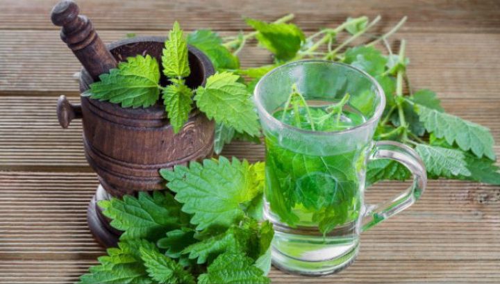 A băut în fiecare zi 2 căni de suc de urzici, timp de o lună. Nu i-a venit să creadă ce efect a avut