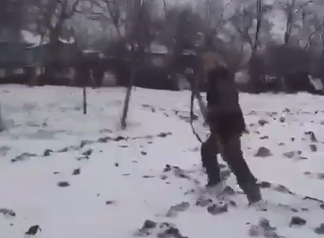 Scene şocante, un paznic trage cu puşca după câini, chiar dacă în apropiere sunt copii 