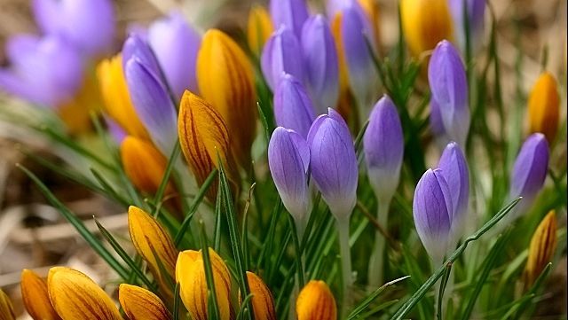 Anunţ neaşteptat de la meteo. Cum va fi vremea în următoarele trei zile