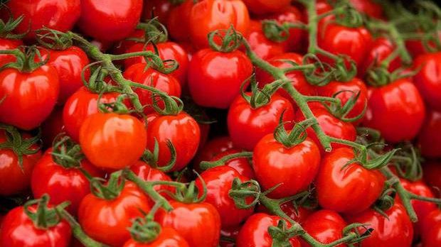 Dezvăluiri șocante. Roșiile care ajung la vânzare în România se vopsesc ”peste noapte”