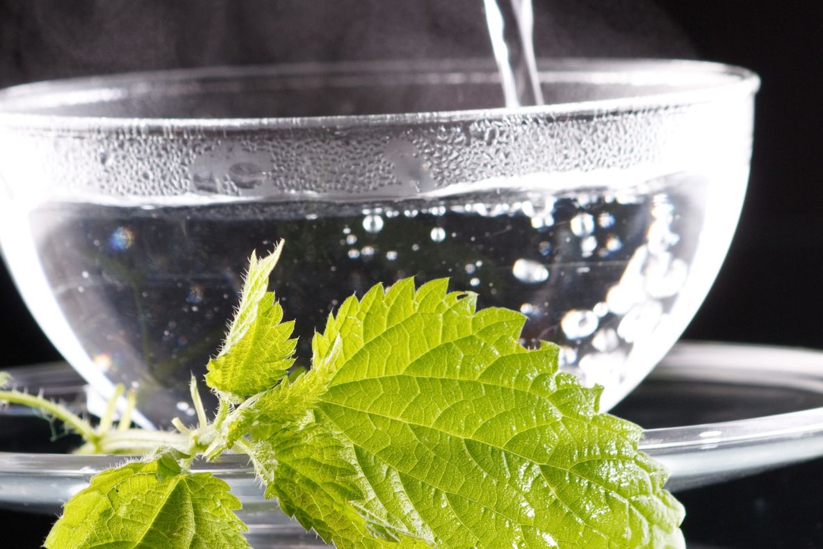 5 plante care țin glicemia sub control