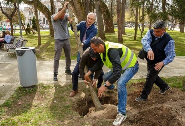Lecții pentru București. Primarul Emil Boc, la plantat de copaci în ”smart Cluj-Napoca”
