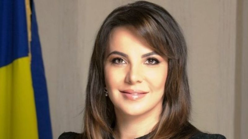 Surse PSD: trezorierul partidului o ajută cu bani pe Ana Maria Pătru