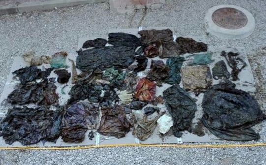 Descoperire terifiantă în burta unui caşalot găsit mort pe o plajă din Spania