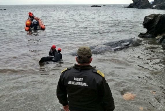 Ploi torențiale, inundații și vânt în Spania