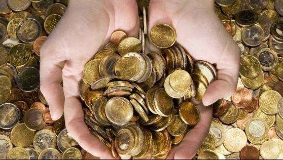 Plantele care atrag banii ca un magnet. Tu le cunoști?