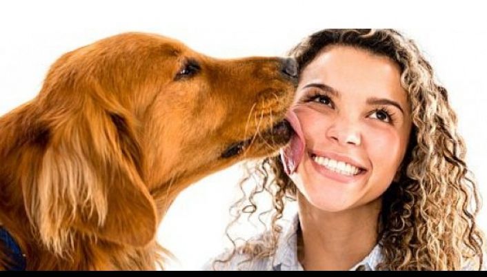 La ce boli grave te expui, dacă îi permiți animalului de companie să te lingă pe față
