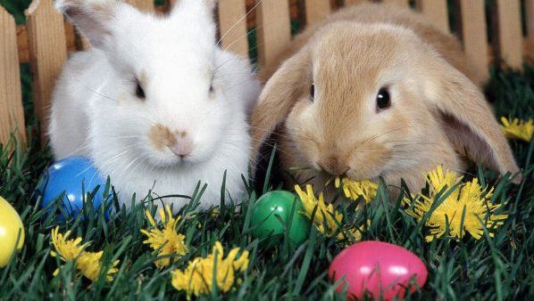 Paștele din 2019 aduce o SUPER-VACANȚĂ pentru români: Am putea avea 9 zile libere