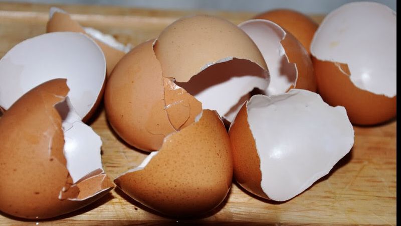 Obișnuiești să arunci COJILE DE OU? Mare greșeală! Iată cât de benefice sunt