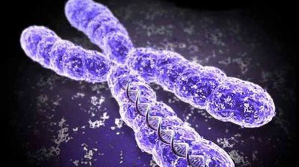 Inteligenţa copiilor este moştenită... doar de la mame?! Ce spun specialiştii