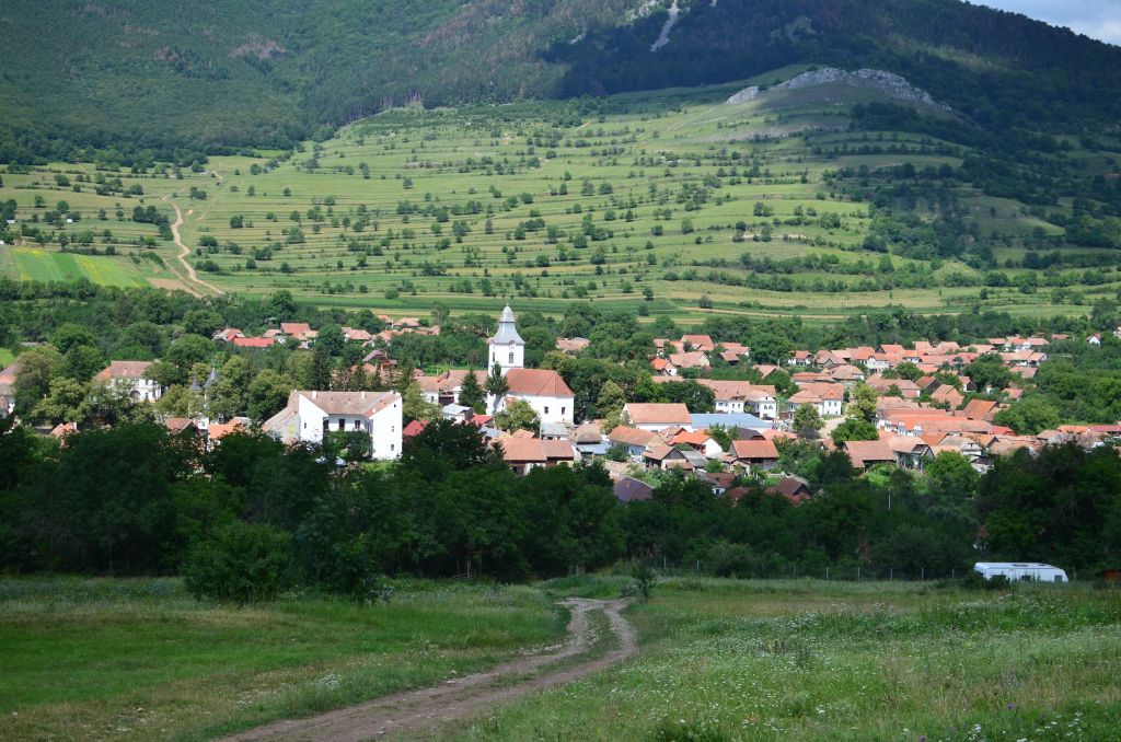 Mai multe sate din Hunedoara riscă să rămână PUSTII: De ce au ajuns localnicii să dea laptele la porci