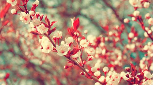 PROGNOZA METEO. Ce temperaturi maxime vom avea zilele viitoare. În ce zone va ploua