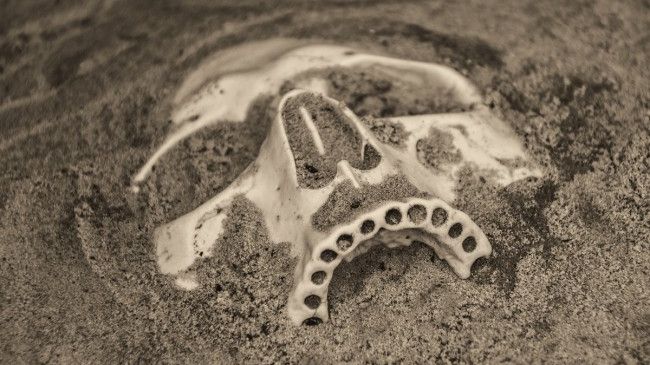 Teorie științifică: o civilizație misterioasă a precedat umanitatea cu zeci de milioane de ani