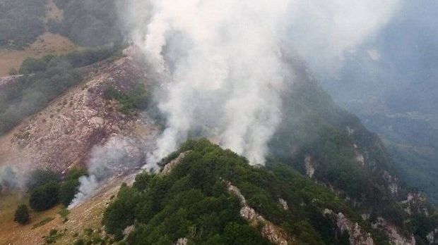 Intervenţie în forţă a pompierilor în Parcul Naţional Domogled(Video)