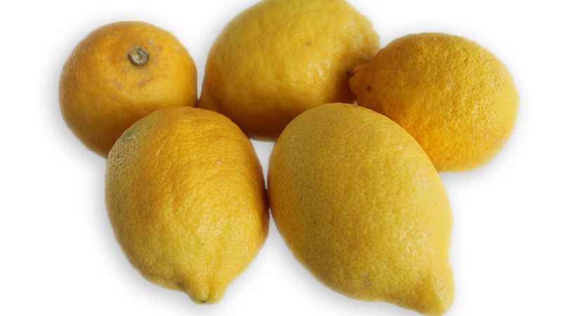 Plantele - minune care îţi îmbunătăţesc vederea. Cum să prepari un remediu extrem de eficient