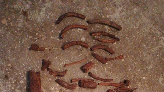 Misterul oaselor găsite în baie: sunt foarte vechi, este nevoie de expertiză antropologică