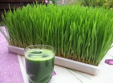 În ce afecţiuni este recomandat consumul de orz verde