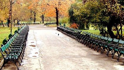 Panică în Cişmigiu: un şarpe de dimensiuni impresionante, surprins târându-se pe asfalt