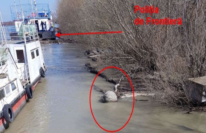 O mină de război germană a ratat „la mustață” vapoarele lui Vîntu și al Poliției de Frontieră