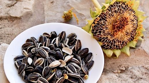 Pericolele consumului de seminţe sărate. Avertismentul nutriţioniştilor