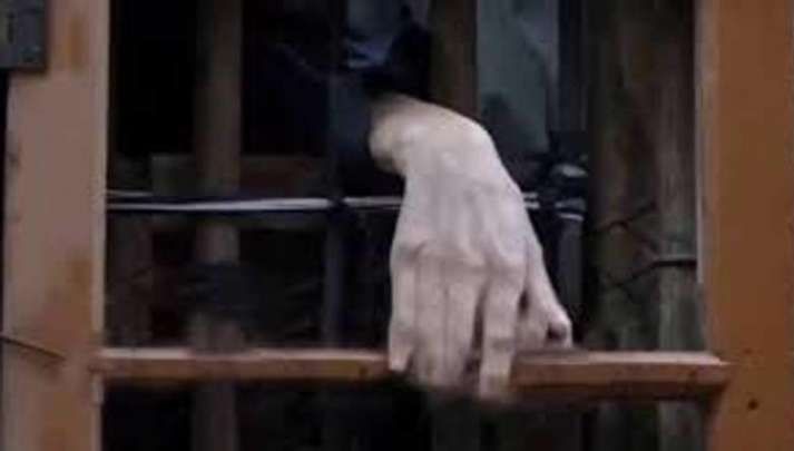 Și-a ținut fiul cu handicap mintal într-o cușcă, peste 20 de ani: "Îl lăsam uneori să facă baie"