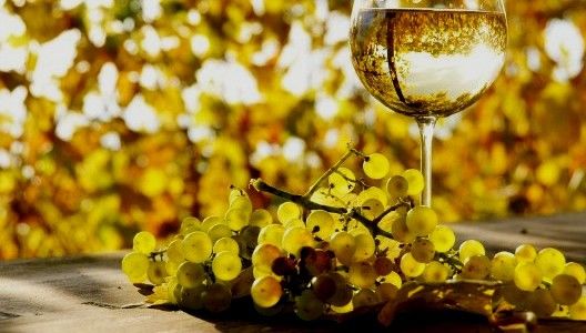 PSD retrage un proiect de lege. Dragnea, printre iniţiatori