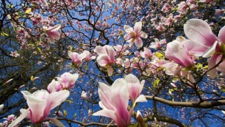 Vremea în Noaptea de Înviere şi în zilele de Paşte - avem nevoie de umbrelă? 