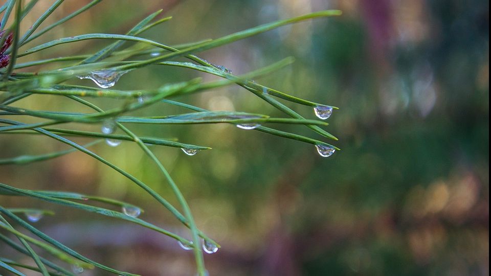 Vremea se strică din nou. Când se întorc ploile