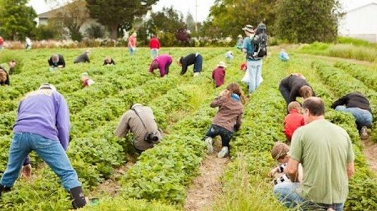 Modificări în legea zilierilor: pe oră, aceştia pot câştiga mai bine decât angajaţii