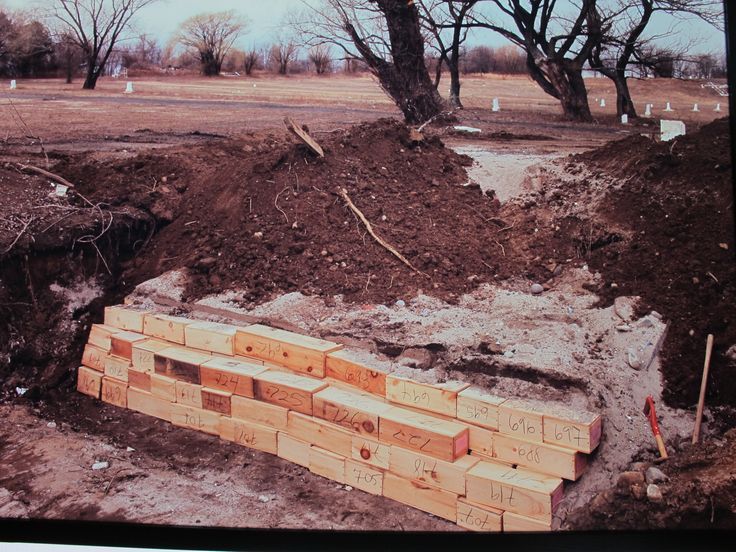 Insula morții își scoate la suprafață secretele: Un milion de suflete care nu pot sta îngropate