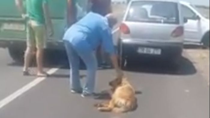 Cruzime fără margini în Teleorman. Un profesor şi-a legat câinele de maşină și l-a târât pe drum