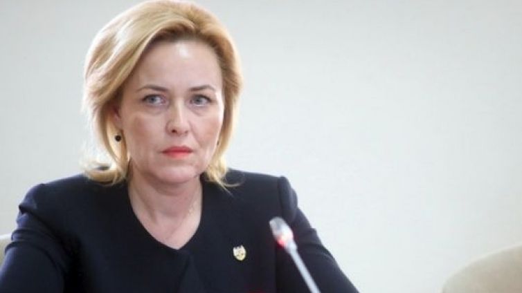 Carmen Dan, audiată în Comisia de apărare