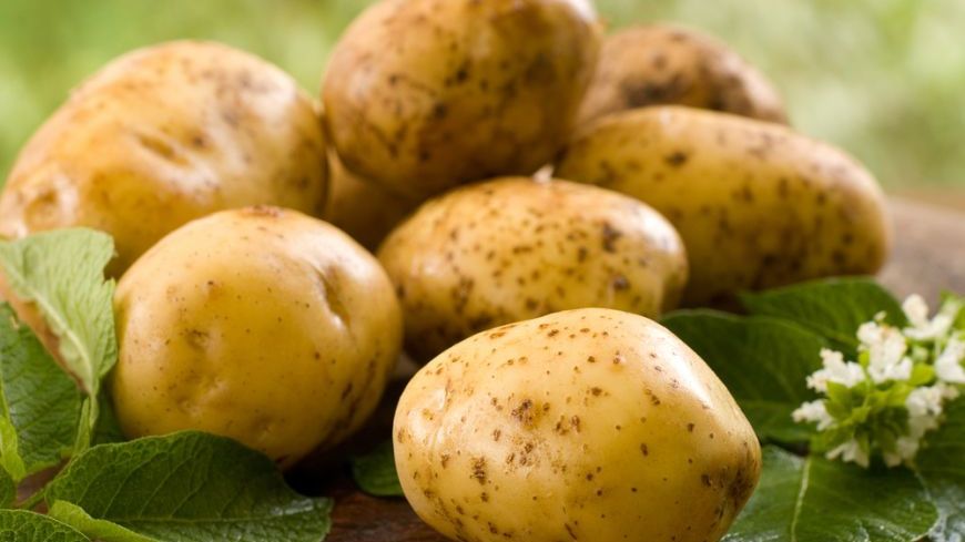 Cartofi. Unde să nu îi pui niciodată. Este extrem de periculos