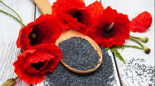 Beneficii uimitoare ale ceaiului din semințe de mac. Vindecă trei boli grave