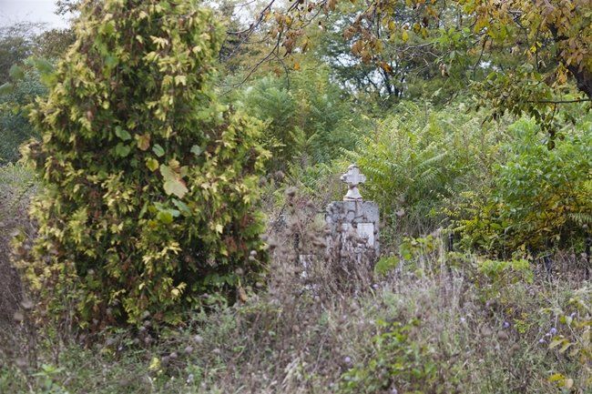 A găsit un cimitir vechi, uitat de 200 de ani. A dat iarba la o parte, e şocant ce se ascundea acolo