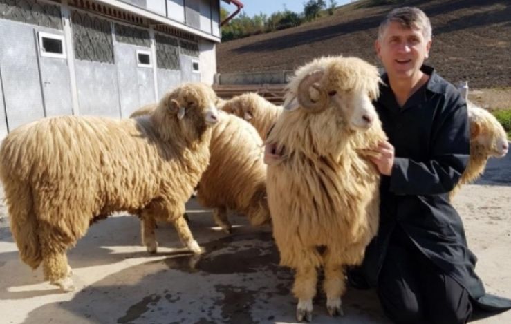 Lovitură pentru Cristian Pomohaci! Motivul incredibil pentru care a început să fie scos de pe afişe