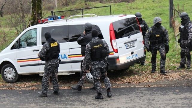 Percheziții DIICOT în industria lemnului. Austriecii de la Schweighofer, în vizor. Reacţia companiei