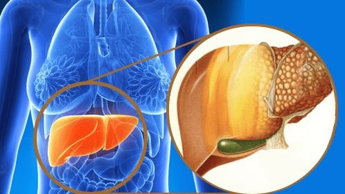 Primele semne care îţi arată că ficatul tău e pe punctul să cedeze