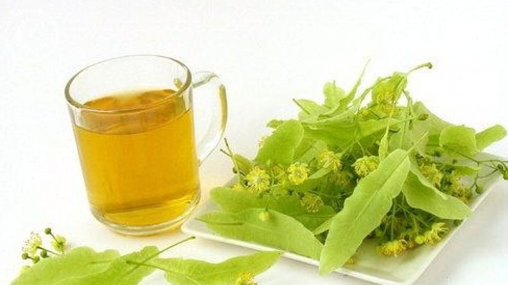 Au înflorit teii: tratamente, indicații şi modul de folosire corect al forilor de tei