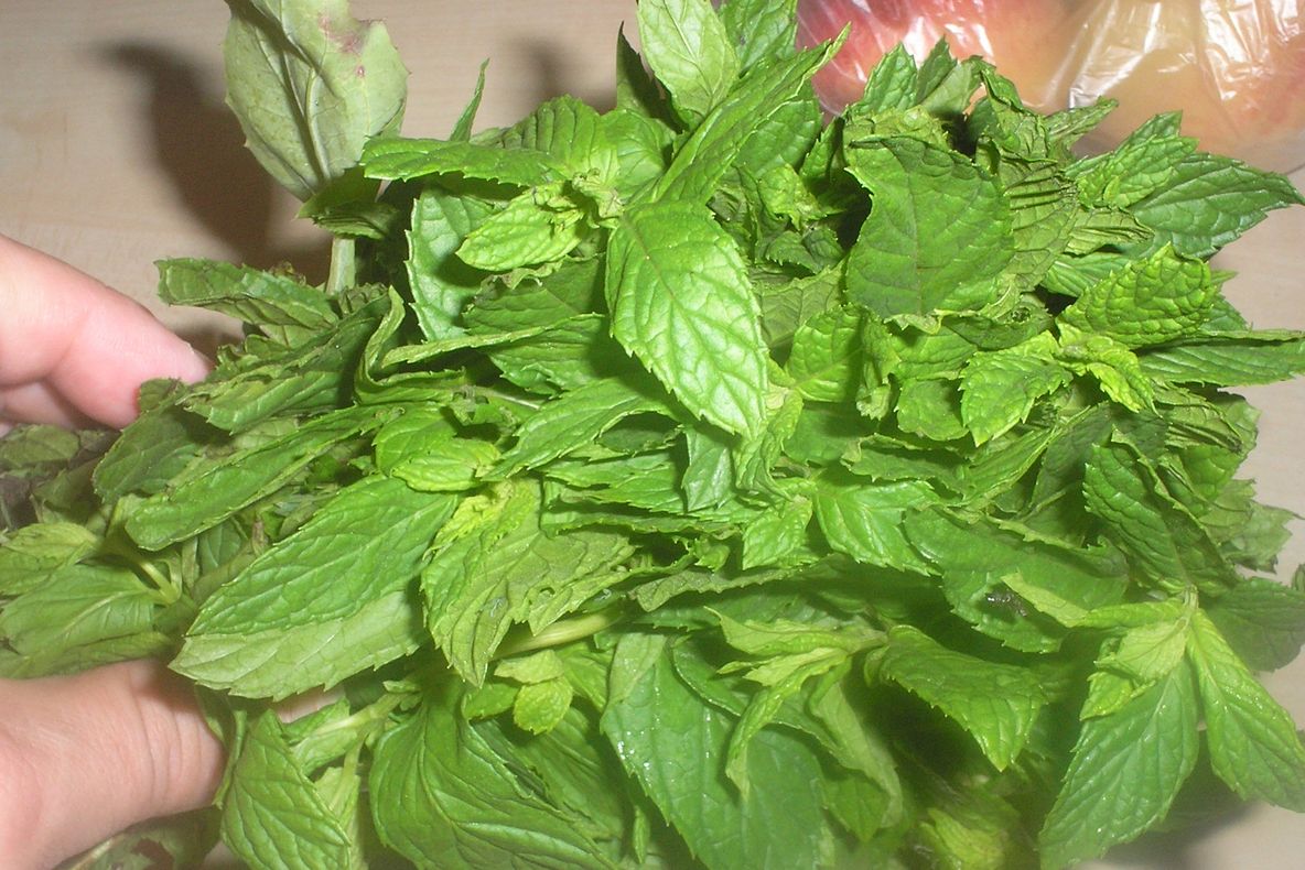 A mirosit câteva frunze de mentă şi nu a simțit niciun miros. După ceva timp a murit. Motivul?