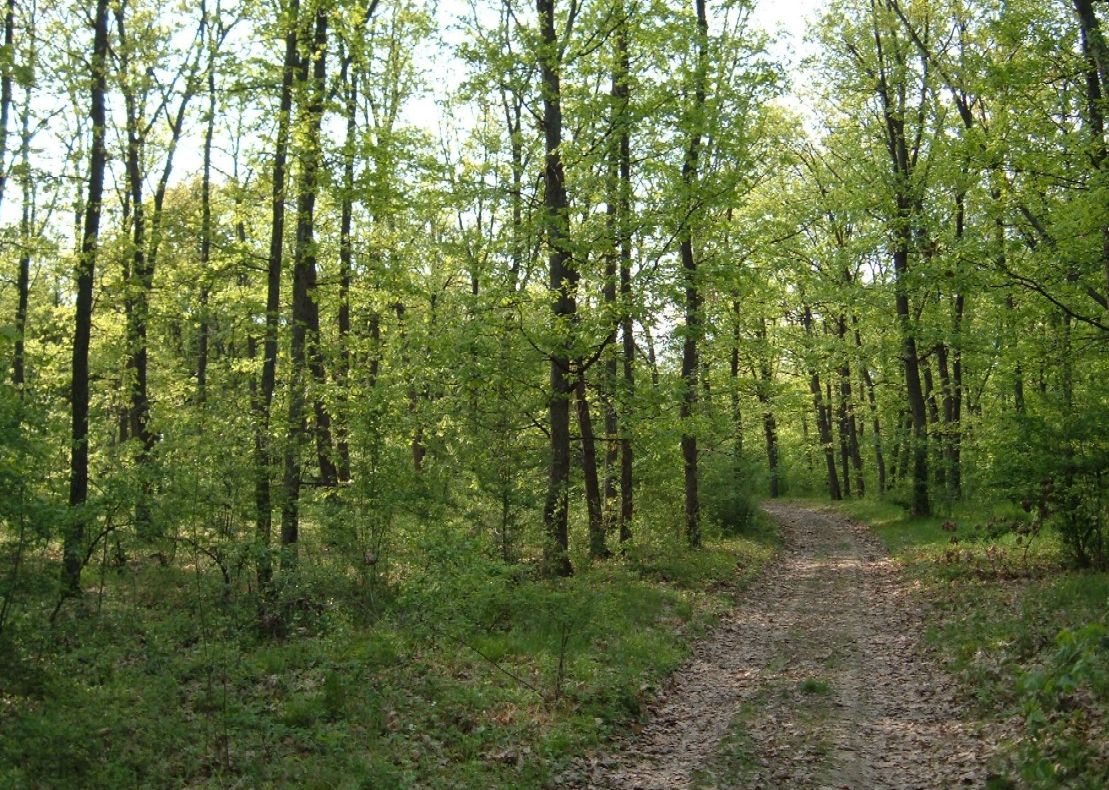 Un bărbat din Vaslui s-a sinucis după ce a fost înşelat de soţie