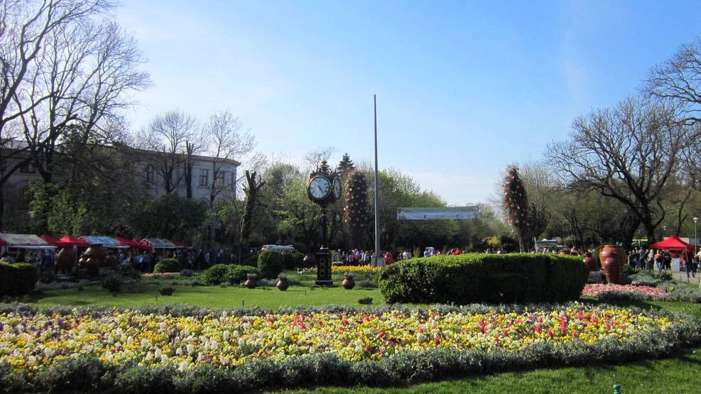 DNA, anchetă într-o afacere cu ”panseluţe” a unui sector din Capitală. Prejudiciu imens