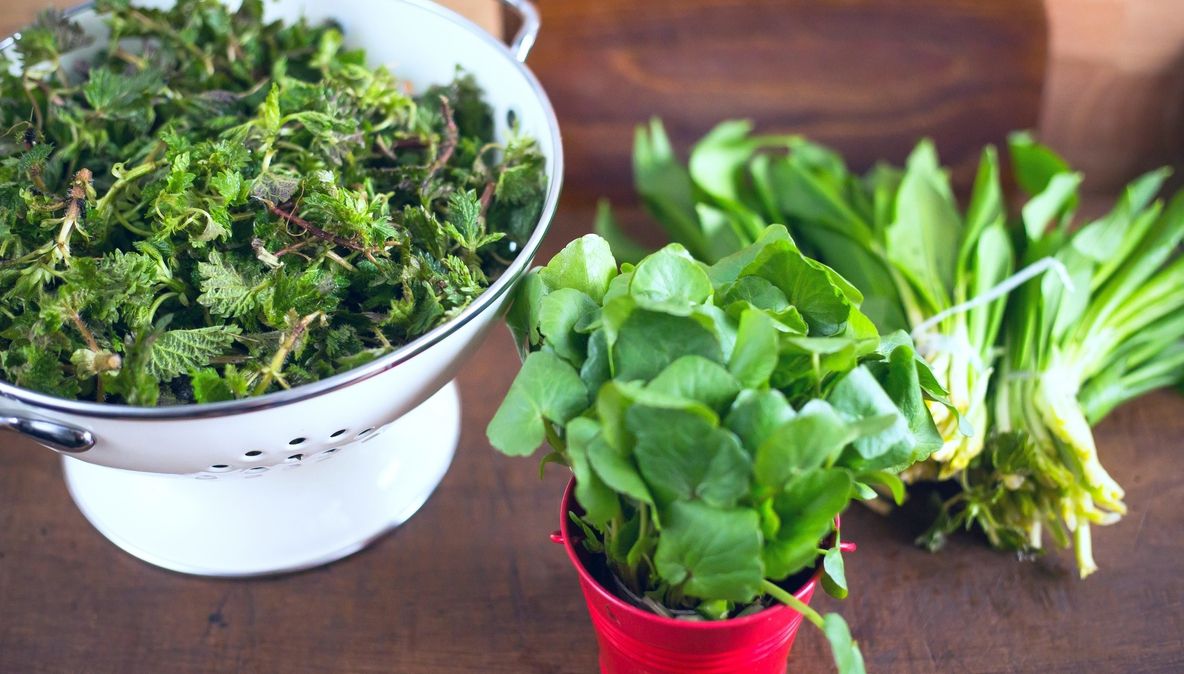 Planta pe care mulți români o calcă în picioare este bună la detoxifierea organismului și nu numai!