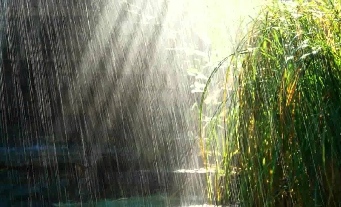 Prognoza meteo: Cum va fi vremea în următoarele trei zile