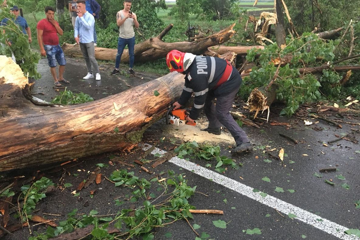  Incident grav în Sectroul 2 al Capitalei! Un copac a căzut peste două femei 