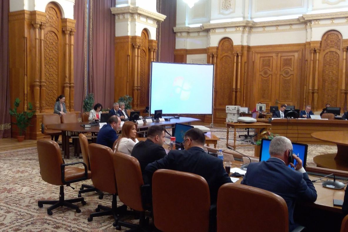 Comisia Iordache, ședință pentru dezbaterea codurilor penale, cu Tudorel Toader