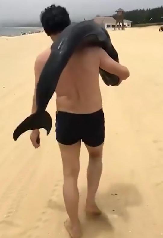 Turistul care și-a pierdut mințile pe plajă! Imaginea care te lasă fără cuvinte! 